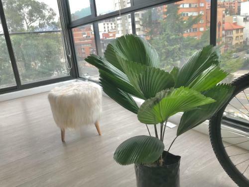 Apartamento New Loft With Balcony - Great View Carrera 7 Chapinero