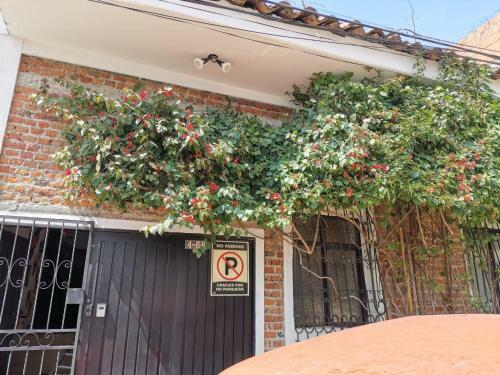 Apartamento Parrot Blue Ray San Antonio