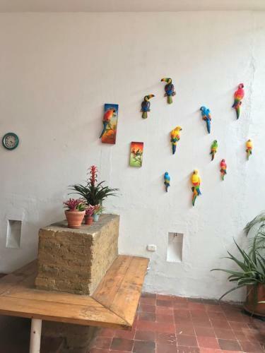Apartamento Parrot Blue Ray San Antonio