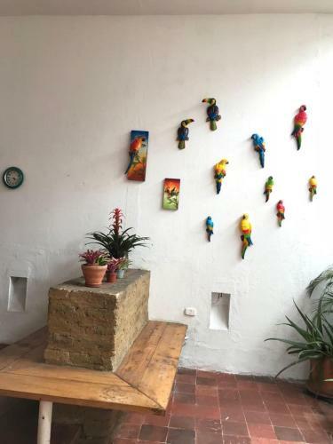 Apartamento Parrot Blue Ray San Antonio