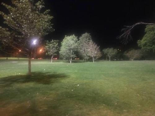 Apartamento Luminoso Y Acogedor Ph Con Patio . Zona C�ntrica.