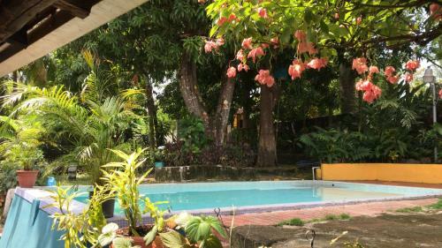 Rio Surf Hostal