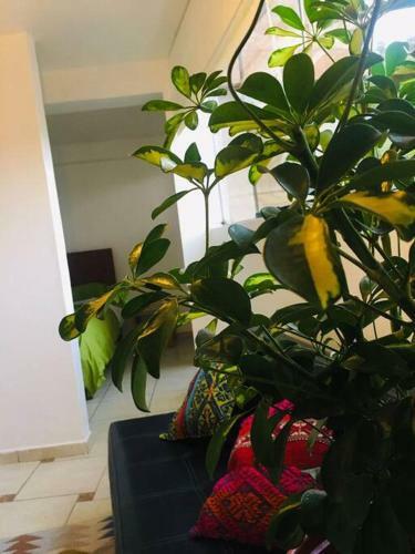 Apartamento Aparment Near The Main Square With Nice View.