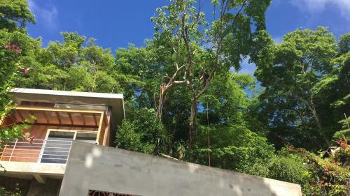 Xanadu, La Joya Surf House