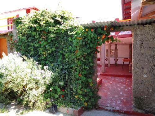 Hostal Lake House Occosuyo