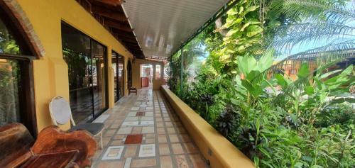 Bed & Breakfast El Naranjal, Jac�