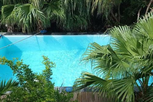 Villa Maison D'architecte Avec Piscine
