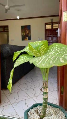 Apartamento Spacious One Bedroom