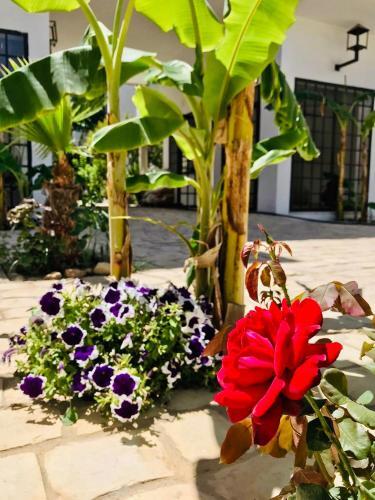 Apartamento R�sidence Neffati
