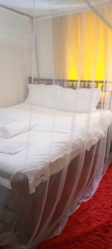 Stay.plus Harlequin Suites Studio Apartments