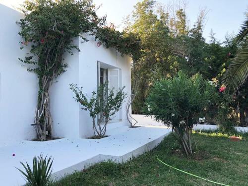 Magnifique Villa Authentique Entre For�t Et Mer � Kelibia
