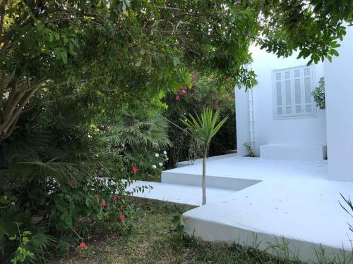 Magnifique Villa Authentique Entre For�t Et Mer � Kelibia