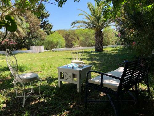 Magnifique Villa Authentique Entre For�t Et Mer � Kelibia