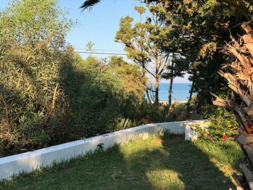 Magnifique Villa Authentique Entre For�t Et Mer � Kelibia