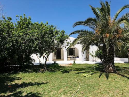 Magnifique Villa Authentique Entre For�t Et Mer � Kelibia