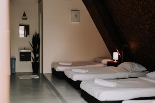 Hotel Senta Adventure Camp & Resort
