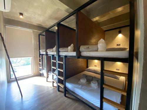 Shorebreak Hostel
