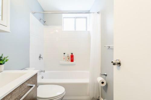 Stunning 1br - King Bed Apartment - Prime Location