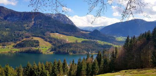 Ferienhaus Max Grundlsee