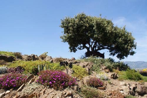 B&B Casa Agradable