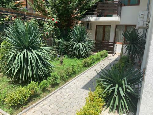 Apartamento Oasis By The Sea