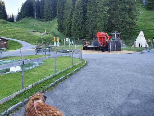 Hotel Stockh�tte,berggasthaus