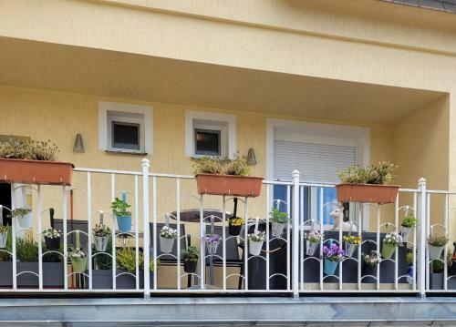 Hostal Pension Relax U Kom�na