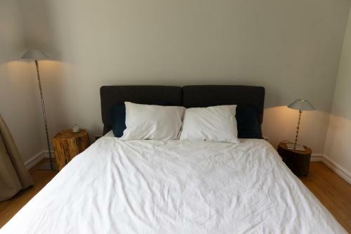 Spacious 2-room City Centre Apartment