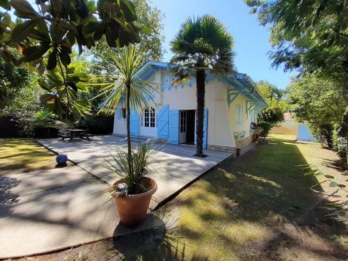 Jolie Maison Avec Jardin Et 3ch Aux Abatilles - Arcachon