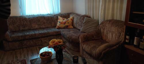 Peti Apartman