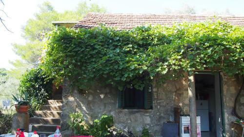 Apartamento Sweet Mljet