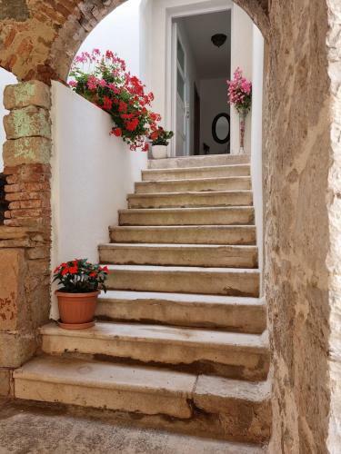 Apartamento Kamena Ku?a Pandorovica