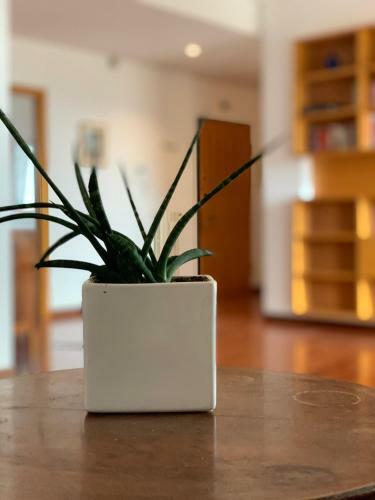 Bari Luxury Apartment Tridente