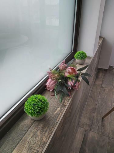 Apartamento Accent House
