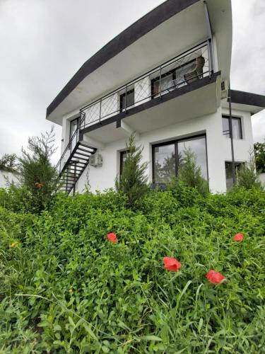 Apartamento Accent House