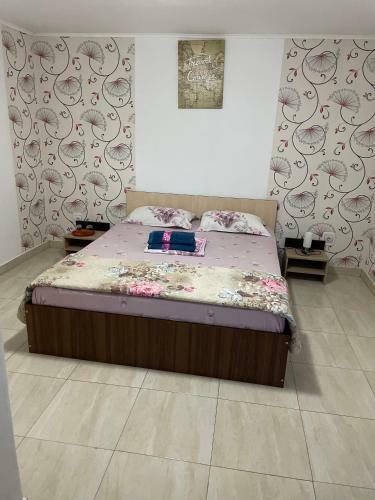 Hostal Vila Vlad