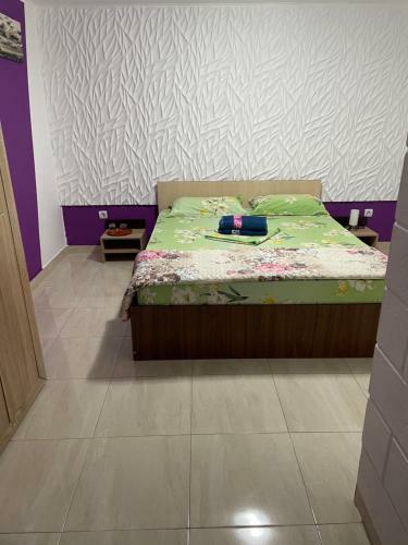 Hostal Vila Vlad