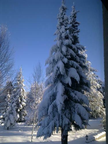 Apartman Zlatibor Srbija