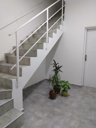 Apartamento Departamento Estela
