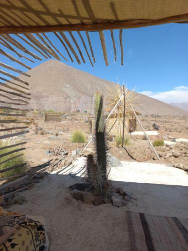 Camping Campo De Cielo
