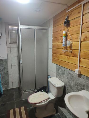 Apartamento Caba�a Hornopir�n