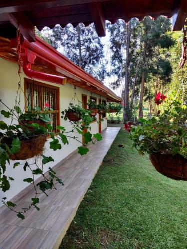 Cheerful Villa