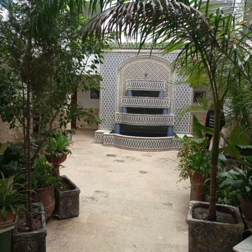 Apartamento R�sidence Chems - Martil
