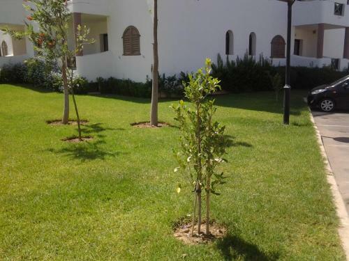 Apartamento R�sidence Magle Cabo Negro
