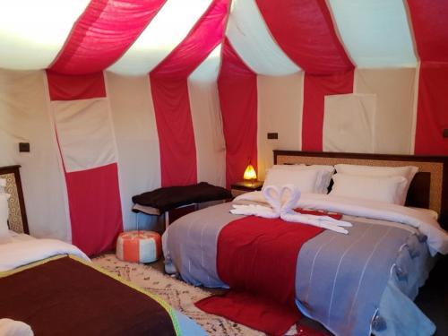 Merzouga Camp & Camel