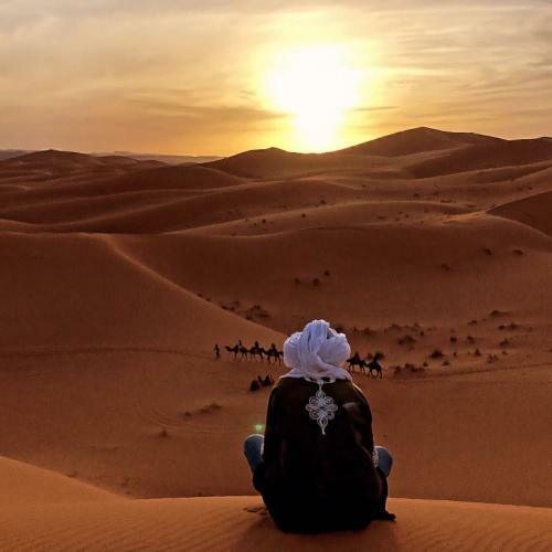 Merzouga Camp & Camel