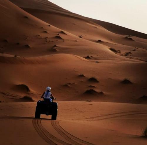 Merzouga Camp & Camel