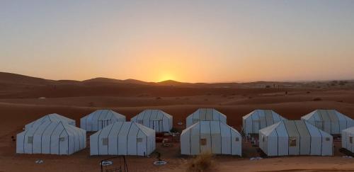 Merzouga Camp & Camel
