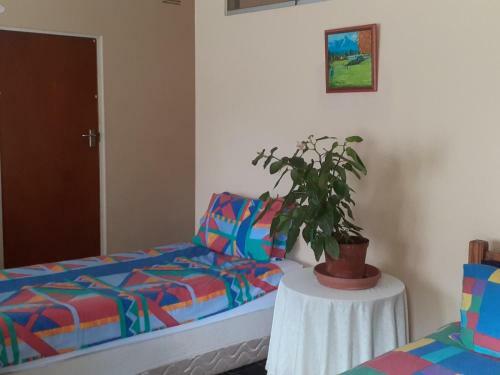 Hostal 40b Guesthouse