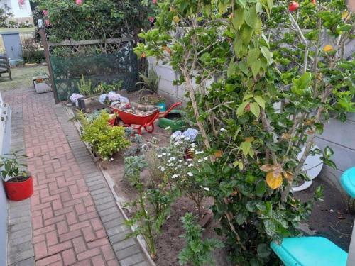 Hostal 40b Guesthouse